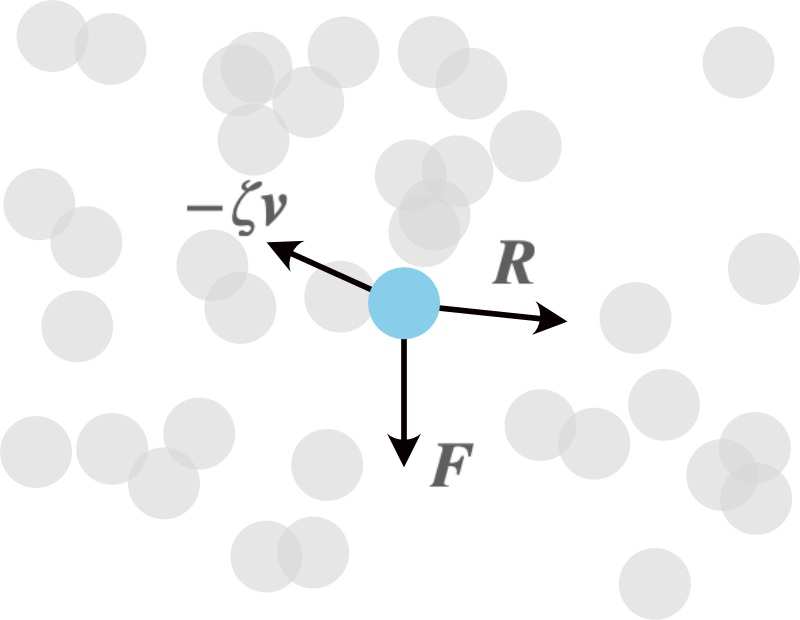 周りの分子から力を受ける着目分子
